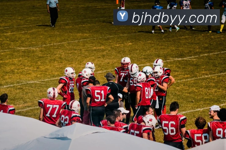 爱游戏体育平台生态图