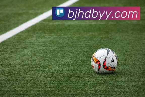 爱游戏体育APP 封面图